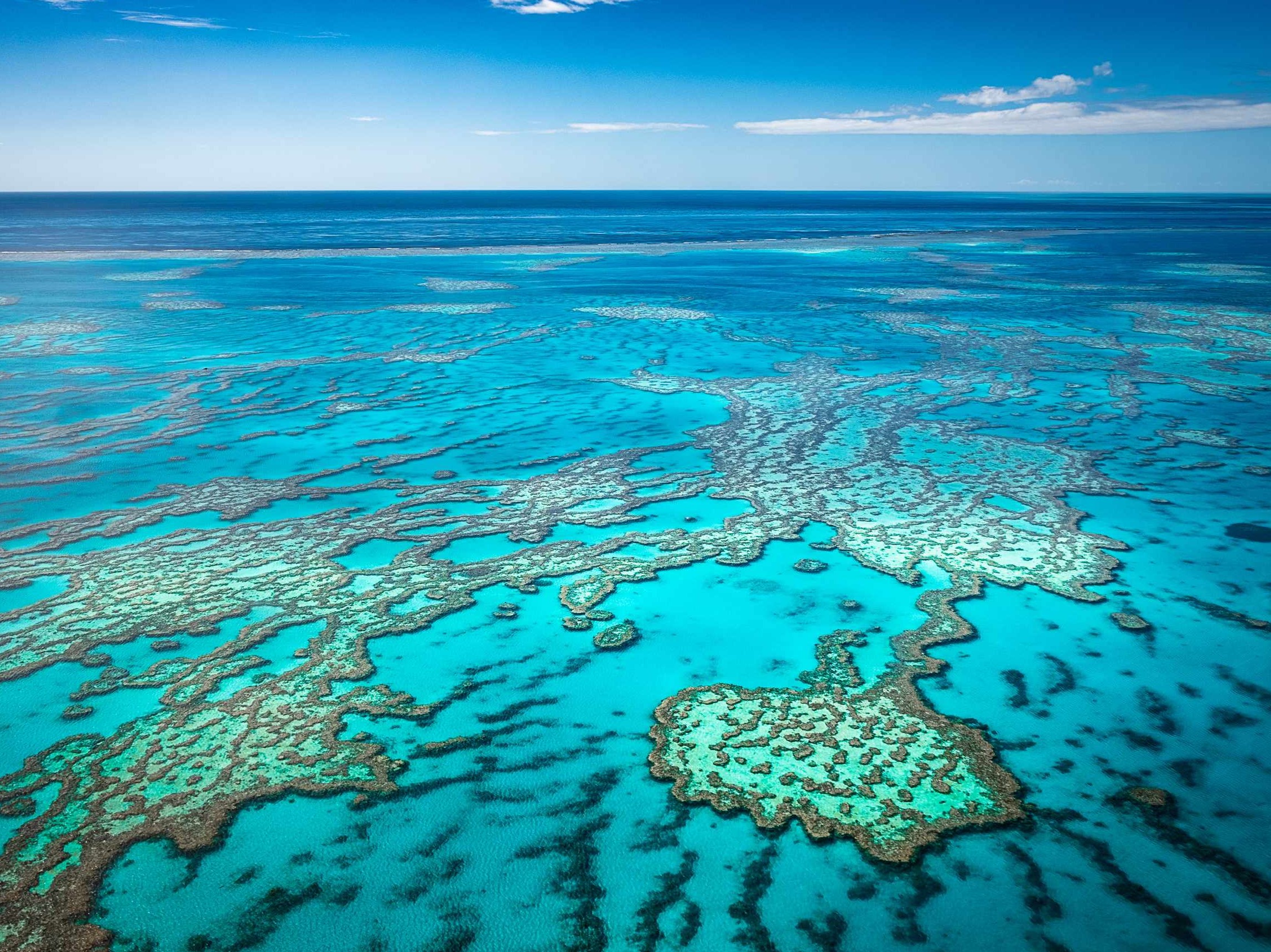 star tour cairns